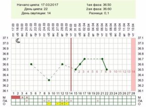 Как рассчитать овуляцию при цикле 34 дня