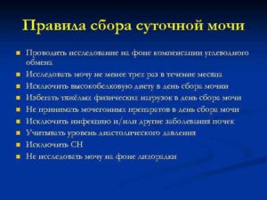 Как правильно собирать суточную мочу беременным на белок