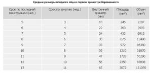 3 недели от зачатия размер плодного яйца