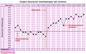 Базальная температура при беременности во время месячных