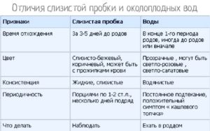 Через сколько рожают как отходят воды у беременных