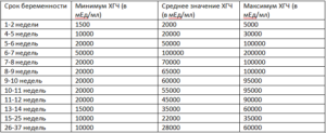 Анализы на 8 неделе беременности