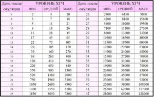 Рост хгч по дням после имплантации при эко