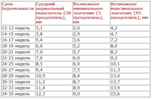 Носовая кость 12 недель