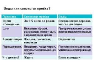 За сколько дней перед родами отходит пробка