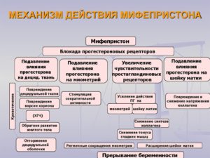 Мифепристон форум как действует