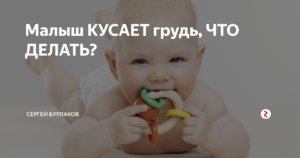 Что делать ребенок кусает грудь