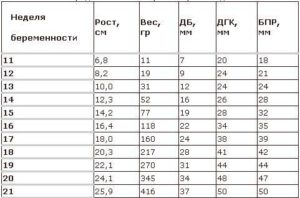 Сколько должен весить ребенок в 34 недели беременности