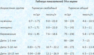 Норма тироксина у женщин