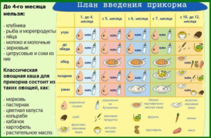 Что вводить в прикорм после овощей и каш