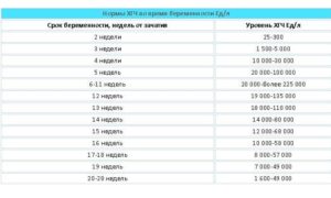 Беременность при низком хгч