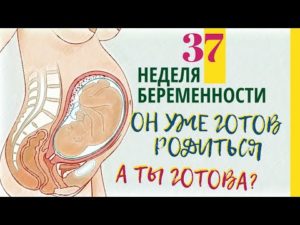 Боли на 37 неделе беременности