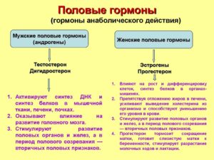 Половые гормоны для женщин