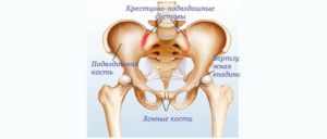 24 неделя беременности болят кости таза