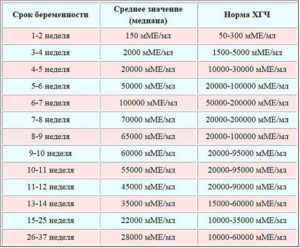 Анализы на 8 неделе беременности