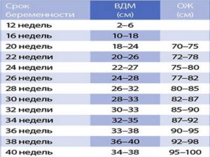 Норма ож по неделям