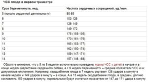 Можно ли услышать сердцебиение плода на 5 неделе