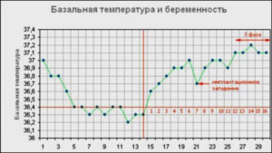 Температура при беременности на ранних сроках 37 3