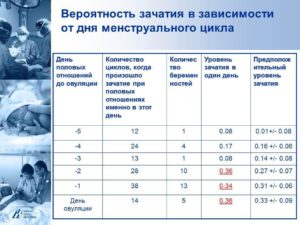 Какова вероятность забеременеть за 1 день до овуляции