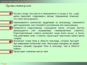 Признаки перед родами за несколько дней у повторнородящих