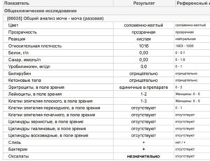 Лейкоциты белок и бактерии в моче при беременности