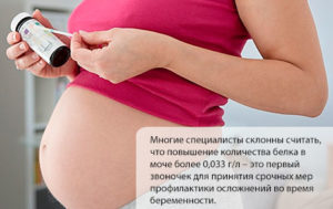 Белок в моче на ранних сроках беременности причины