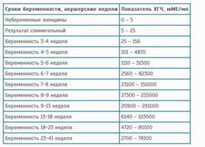 Срок 6 акушерских недель беременности