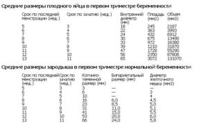 3 недели от зачатия размер плодного яйца