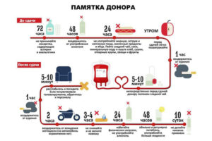 Что кушать перед сдачей мочи при беременности