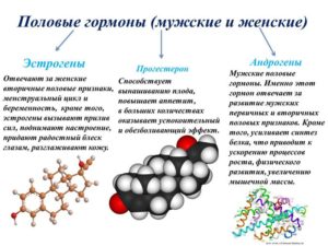 Где вырабатываются гормоны женские