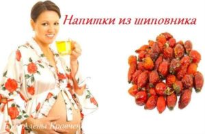 Можно ли пить чай из шиповника при беременности