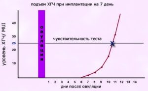 Хгч до имплантации эмбриона