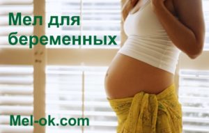 Можно ли беременным кушать мел