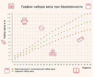 Рассчитать вес во время беременности