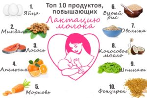 Продукты увеличивающие грудное молоко