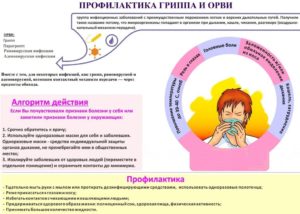 Простыла на 8 неделе беременности последствия для ребенка