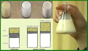 Как перегорает грудное молоко