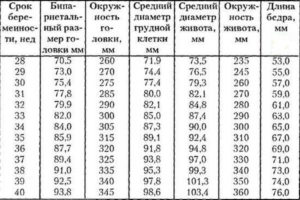 Окружность головы больше окружности живота у плода