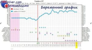 При беременности температура 38