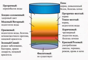 Темная моча у ребенка причины