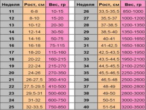 Нормы роста и веса плода по неделям беременности