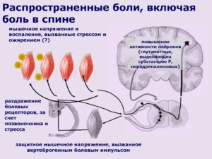 Боль в пояснице овуляция