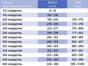 Высота дна матки и окружность живота по неделям