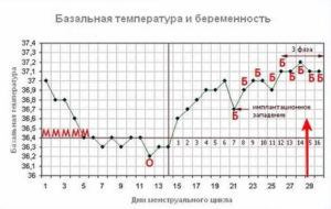 После зачатия какая температура