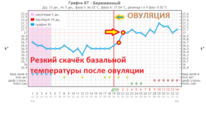 При зачатии какая температура