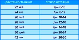 Овуляция на какой день при 28 дневном цикле