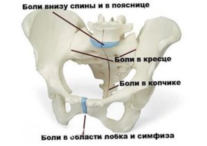 Боли лобковой кости при беременности