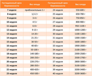 Нормы роста и веса плода по неделям беременности