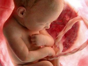 За сколько до родов затихает ребенок в утробе