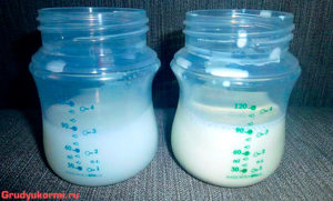 Как проверить жирность грудного молока в домашних условиях